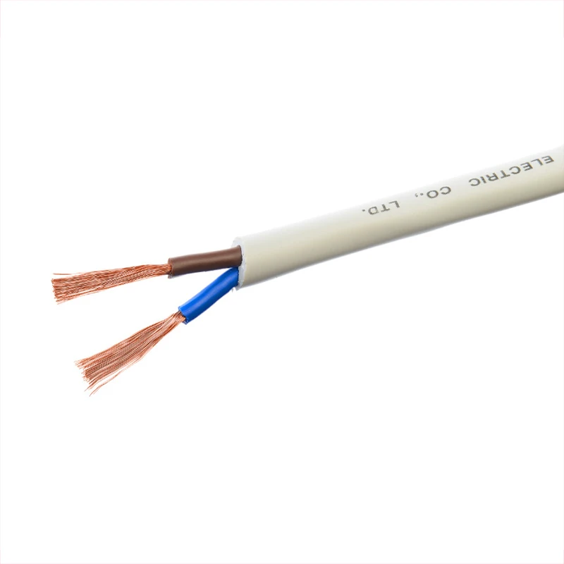 1.5mm-2.5mm-4mm-6mm-2-Core-Copper-Wire-PVC-Flexible-Cable-Fire-Resistant-Instrumentation-Power-Cables-RVV