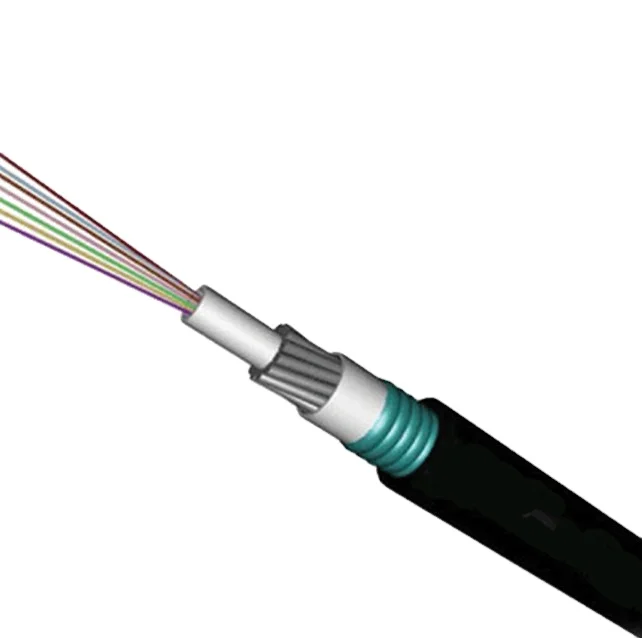 24-Core-Underwater-Loose-Tube-Fiber-Optic-Cable-GYTA33-Steel-Wire-Armored-Communication-Cables