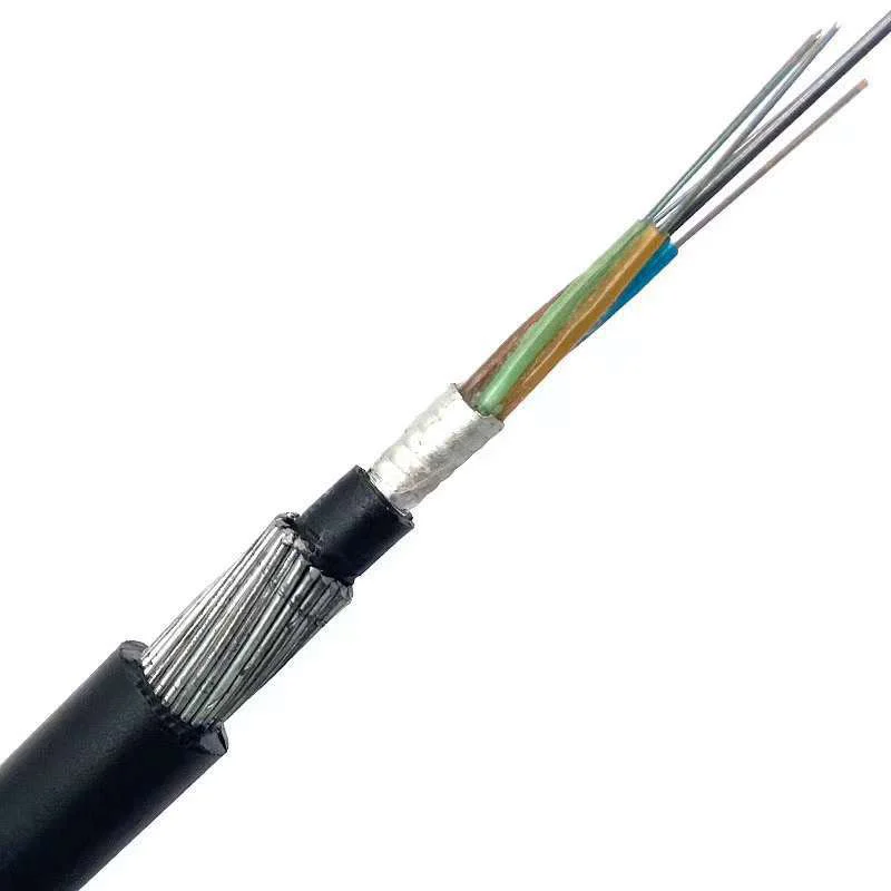 Anti-Rodent-GYTA33-G652D-48-Core-Black-Single-Mode-Double-Layer-Wire-Armored-Fiber-Optic-Cable-Underwater-Direct-Buried-Cabling