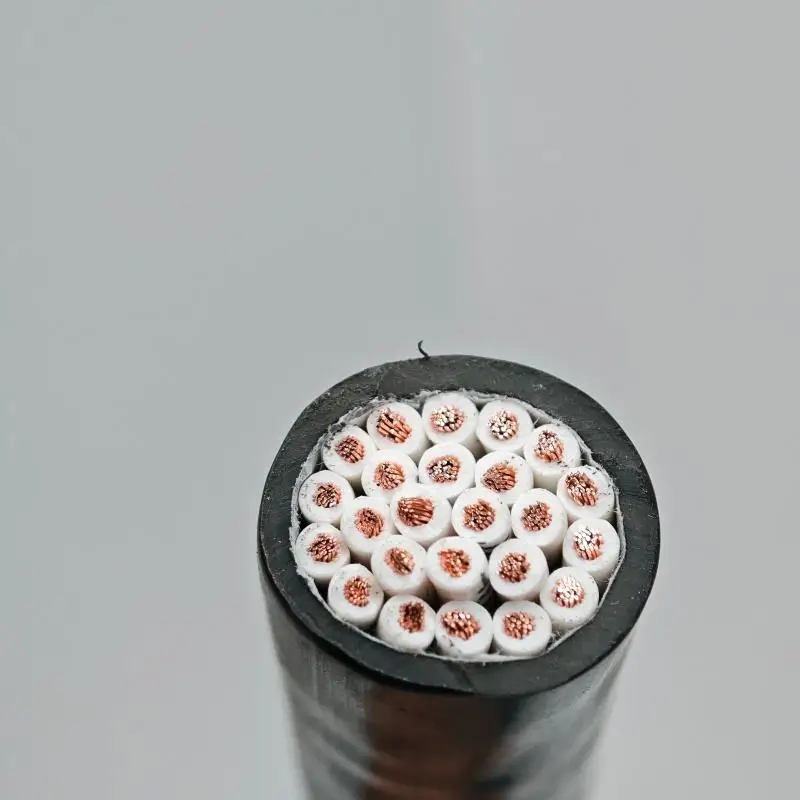 Control-Cable-KVVR-30-37-1.0-Mm-for-Building-Control-Systems-Suitable-for-PLC-signal-Transmission-and-Sensor-Wiring