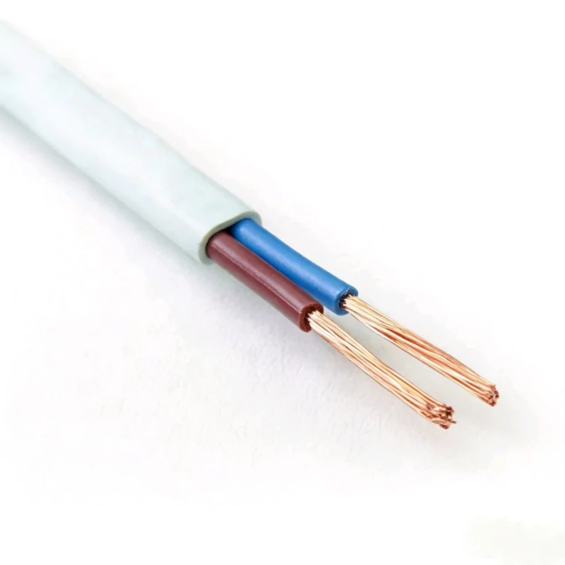 Factory-direct-RVVB-2-core-Flat-Sheathed-Flexible-Cable-0.75-1.0-1.5-Mm-Suitable-for-Domestic-Appliances-and-Lighting