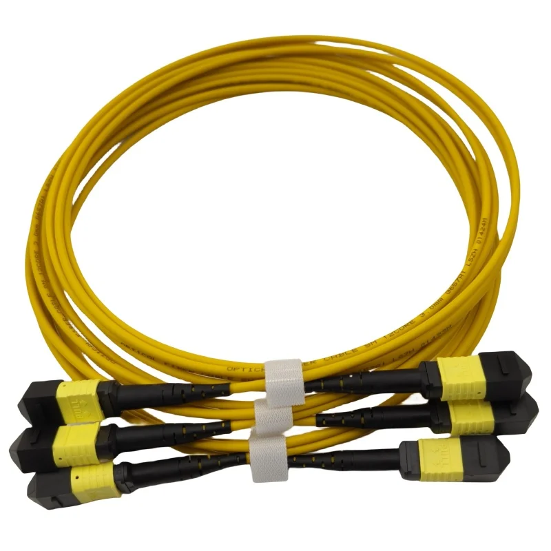 MPO-APC-Female-to-MPO-APC-Female-Low-Loss-12F-SM-9-125-LSZH-3.0m-Fiber-Optic-Patch-Cord-MPO-Trunk-Cable