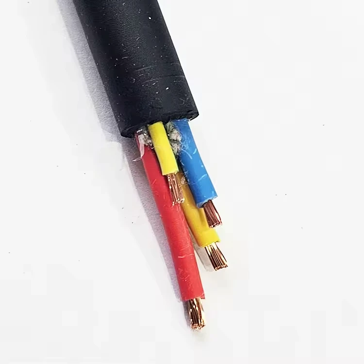 RVV-RVVP-12