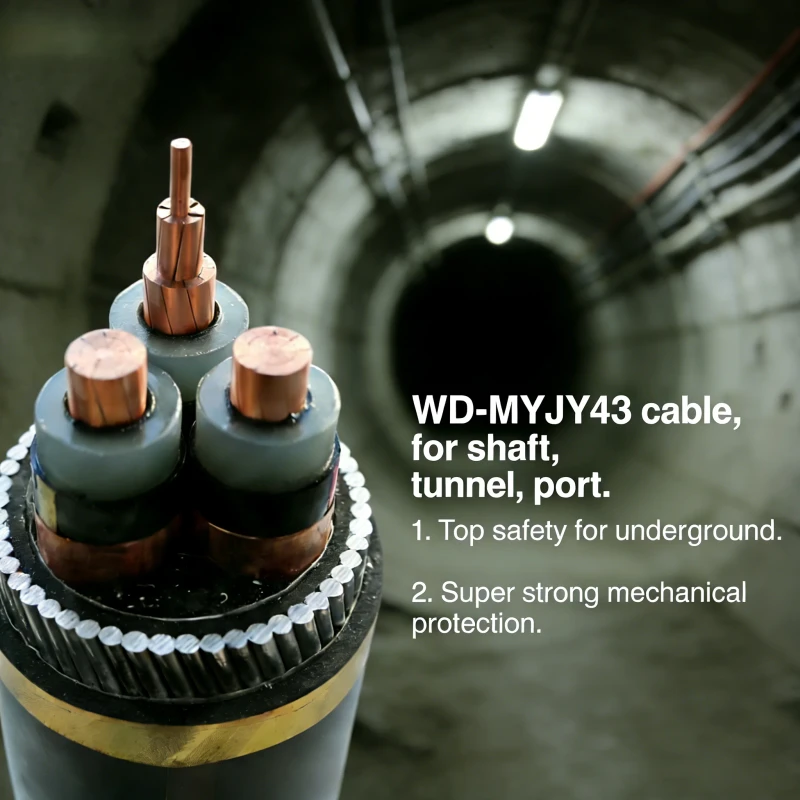 WD-MYJY43-0.6-1kV-SWA-LSZH