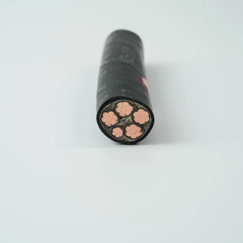 WDZN-YJY-Automotive-Charging-Station-Electrical-Wires-Cables-PVC-Fire-resistant-IP54-Rated-Oxygen-Free-Copper