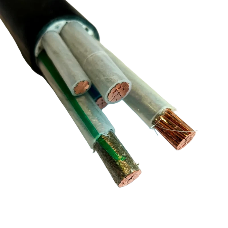 image-1784570263803